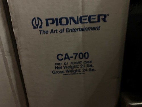 Pioneer 700 flight road - pioneer,